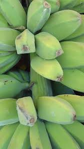 Cara tanam pokok pisang kaki. Jutawan Pisang Posts Facebook
