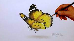 Perfect for festive fall cookies or even stamping clay, these stamp stencils will help you bring autumn to life in 3d! Drawing A Butterfly Simple And Easy Steps Butterfly Drawing Butterfly Painting 3d Drawings