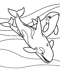 We can't wait to see how you handle this deep dive killer whale printable! Printable Killer Whales Coloring Page