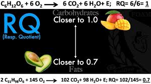 Image result for Calculated PaCO2