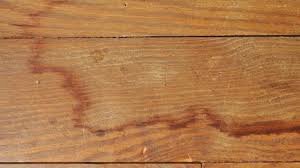 Two of my dogs had a serious fight while i was at work, and the floor was covered with blood. How To Get Stains Out Of Hardwood Floors The Right Way Alliance Flooring Directory