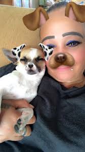 Lost dog found after 2 weeks