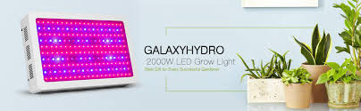 You may be familiar with the brand galaxyhydro. Amazon Com Roleadro 2000w Led Full Spectrum Grow Lights For Indoor Plants Greenhouse Seedlings 2000w 2000w Garden Outdoor