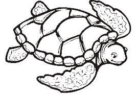 Ninja turtles coloring pages are the perfect learning source for kids which will help them to develop their imagination skills by filling the color of their choice and making their cartoon character more interesting. Turtle Coloring Pages For Kids And For Adults Coloring Home