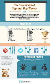 Unfortunately, the rarer the name, the harder it is to document. What Are The Most Popular Dog Names On Dogster Dogster