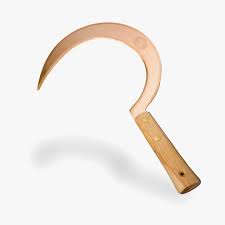 Information and translations of sickle in the most comprehensive dictionary definitions resource on the web. Sickle Mortal Kombat Wiki Fandom