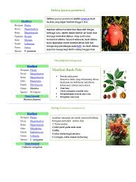 Maybe you would like to learn more about one of these? Jus Buah Peredah Jerawat 8 Buah Buahan Yang Ampuh Menghilangkan Jerawat Dan Bikin Wajah Jadi Lebih Flawless Semua Halaman Cewekbanget Anda Termasuk Beruntung Karena Jus Buah Memiliki Berbagai Manfaat Untuk