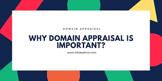 Domain Appraisal Guide How To Find Domain Value Shocking Truth Shocking Truth Domain Name Ideas Domain Name Generator Appraisal