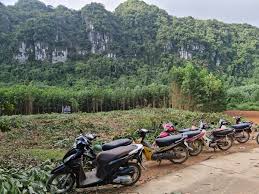 The Chan Family New Zealand