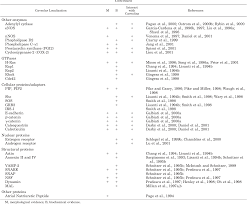 Caveolae from cell biology to animal physiology. Pdf Caveolae From Cell Biology To Animal Physiology Semantic Scholar