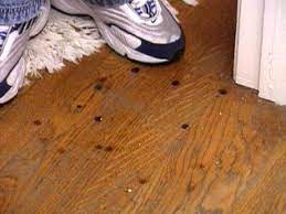 Warmed flannel in direct contact, then several burst of steam and then a few seconds of dry heat, removed flannel and wiped any moisture off with a soft cloth. How To Remove Burn Marks On A Hardwood Floor Hgtv