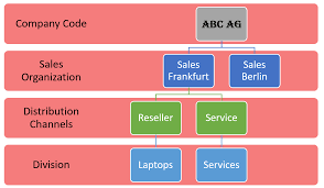 Sap Sd Organizational Structure Complete Guide Avas