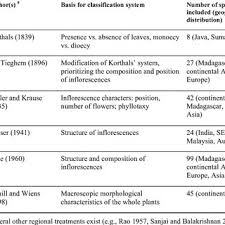 Image result for Viscum bagshawei