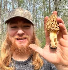 Early grays found in deep south soil?