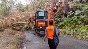 Untuk sabtu, pegadaian buka hingga jam 13.00. Akses Ke Telaga Ngebel Ditutup Sementara Saat Evakuasi Reruntuhan Rumpun Bambu Ntmc Polri