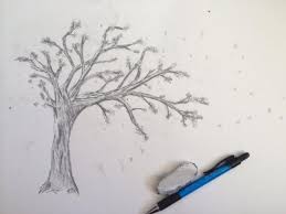 Tanaman bunga sakura yang ada di pulau sumba ini tumbuh liar di pinggir jalan dan akan berbunga pada bulan oktober sampai semua orang berbangga bisa berfoto ria dengan latar bunga sakura. Sketsa Bunga Sakura Steemit