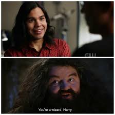 You're a wizard harry (harry potter) (6). You Are A Wizard Harry Flashtv