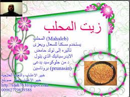 زيت المحلب الموسوعة الكبرى عالميا في الطب البديل والامراض عامة خبير الاعشاب والتغذية العلاجية عطار صويلح