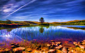 Summer beautiful grass tulips garden nature lovely pretty water. Images Of Beautiful Summer Nature 100 Photos For Your Desktop