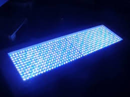 How Long Should Aquarium Fish Tank Lighting Be Kept On For Tropical Fish Site
