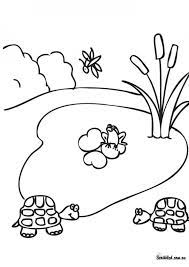 All you need is photoshop (or similar), a good photo, and a couple of minutes. Pond Life Coloring Page Worksheets 99worksheets