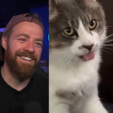 Impossible Try Not To Laugh (Cat Edition) 🤣🤣🤣