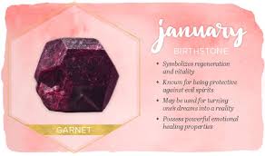 January Birth Flower Carnation Ftd Com January Birth Flowers Birth Flowers January Birth Stone
