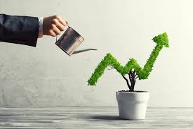 We did not find results for: Cum Calculezi È™i Cat De Mult È›ii Cont De Cifra De Afaceri In CreÈ™terea Business Ului TÄƒu