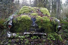 Nature 1 Car 0 Abandoned Cars Junkyard Cars Abandoned