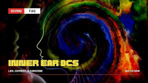 Image result for Inner Ear Decompression Sickness