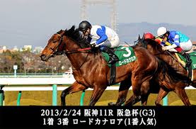 있는거는 뭔가 제물이 아닌거 같아서 다른거 쉣그어그. 77ggxxr1m4bnam