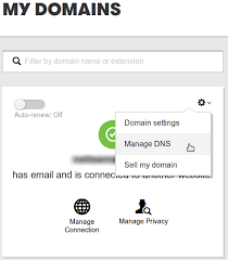 How To Configure Dns For Your Domain Name On Godaddy Magicpress