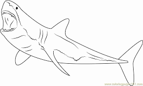 Great White Shark Coloring Page Awesome Great White Shark Diving Coloring Page Free Shark Shark Coloring Pages Great White Shark White Sharks