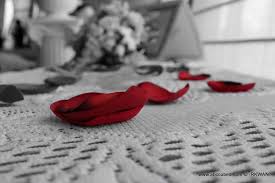 Black And White Art With Red Accents Black And White Photos With Red Accents Photoshop Cs4 Create Color Accents In A Black A Red Rose Pictures Color Splash Photography Color Splash Photo