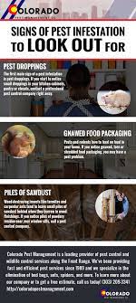 Do not keep food in open in the kitchen. Pest Control Englewood Signs Of Pest Infestation To Look Out For When House Hunting