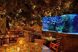 The toast at la vista. Rainforest Cafe Riverwalk 360zone Com Producers Of Virtual Tours With Publishing On Google