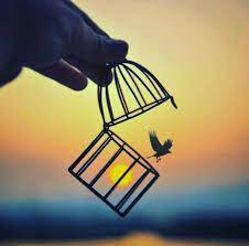 With unlimited message services, the app also allows to send media files including images, videos, contact ids, documents for. Sawabcenteren On Twitter Miniature Photography Art Photography Cute Photography