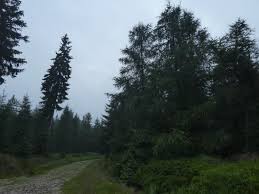 Check spelling or type a new query. M Nxia0mtiem2m