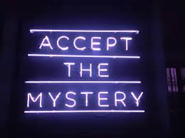Exactly why did you come here? Neon Quote Gif Neon Quote Acceptthemystery Discover Share Gifs