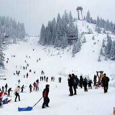 We did not find results for: Vlasic Schneevorhersage Fur 1596 M