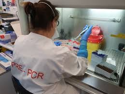 Quatre nouveaux cas d'infection au coronavirus ont été détectés en normandie, portant à six le nombre de personnes contaminées dans cette région le nombre de cas confirmés de coronavirus en allemagne a bondi de 109 en une journée, a déclaré jeudi l'institut robert koch. En Normandie La Circulation Du Virus Covid 19 Repart A La Hausse 76actu