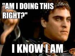 Am I Doing This Right I Know I Am Downvoting Roman Quickmeme