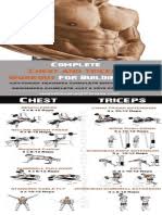 For example, bench press, shoulder press, tricep push down, etc…. Chest And Triceps Workout 1 Pdf