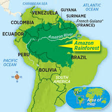 The Amazon Rainforest Together with its tributaries the river drains an area of 2,722,000 square miles (7,050,000 square kilometers)—roughly one third of the continent. the amazon rainforest