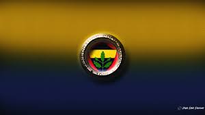 Fenerbahçe (futbol takımı), ya da insanlar arasında en yaygın kullanılan adıyla sarı kanarya, fenerbahçe spor kulübü'ne ait süper lig'de oynayan en köklü. 2879872 1920x1080 Fenerbahce Wallpaper Jpg 863 Kb Cool Wallpapers For Me
