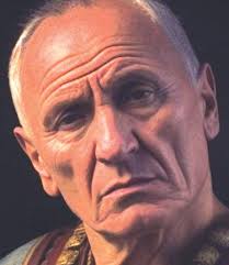 The Local Paper. Northern Suburbs Edition. Wed., Nov. 13, 2024 by Ash Long 