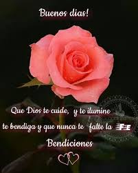 Te Amo Deseo Que Sea Un Dia De Felicidad Saludos De Buenos Dias Buenos Dias Con Rosas Buenos Dias Saludos