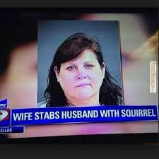 Tgif meme happy friday funny. Happy Friday Tgif Friday Fun Memes Funny Silly Squirrel Flickr