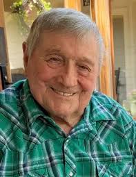 Leslie Johnny Faldyn Obituary (2024)