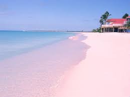 We did not find results for: Pink Beach Wallpapers Top Free Pink Beach Backgrounds Wallpaperaccess